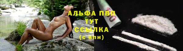 индика Беломорск