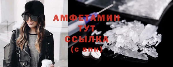 индика Беломорск