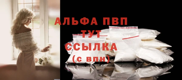 индика Беломорск