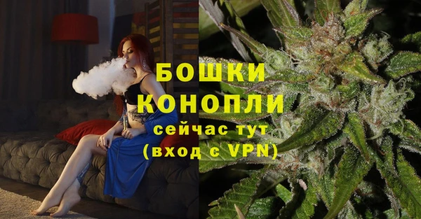 индика Беломорск