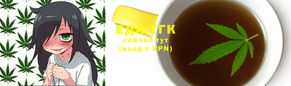 индика Беломорск