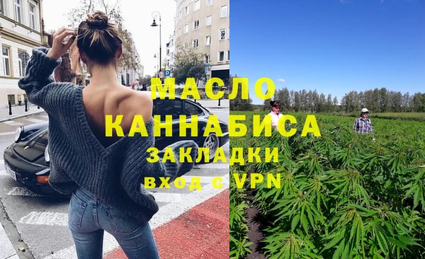 индика Беломорск