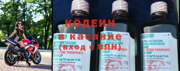 индика Беломорск
