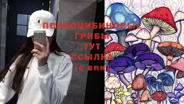 первитин Белокуриха