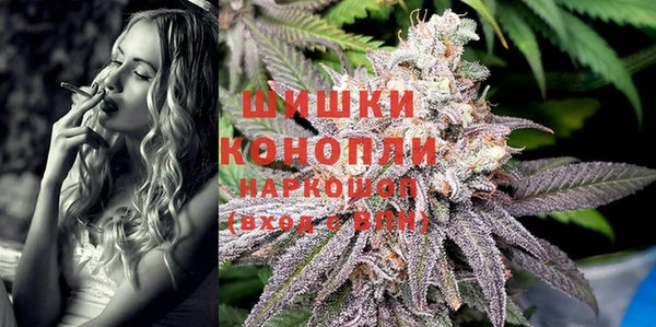 индика Беломорск