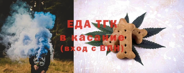 индика Беломорск