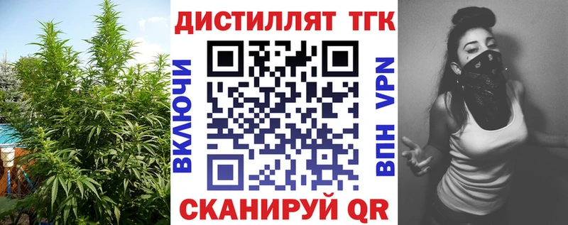 ТГК концентрат  Сланцы 