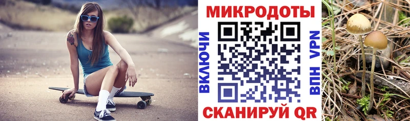 Псилоцибиновые грибы MAGIC MUSHROOMS  OMG зеркало  Сланцы 