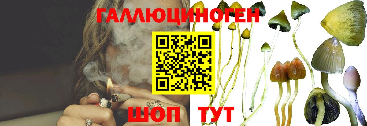 Псилоцибиновые грибы мухоморы Сланцы