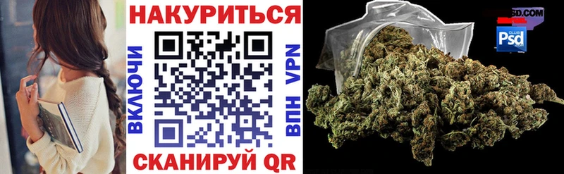 Каннабис планчик  Сланцы 